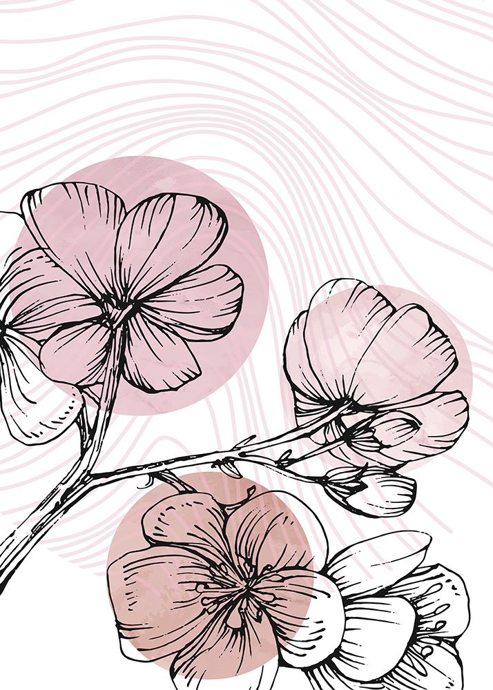 Cherry flower flowers minimal art art print by AcantStudio for $57.95 CAD