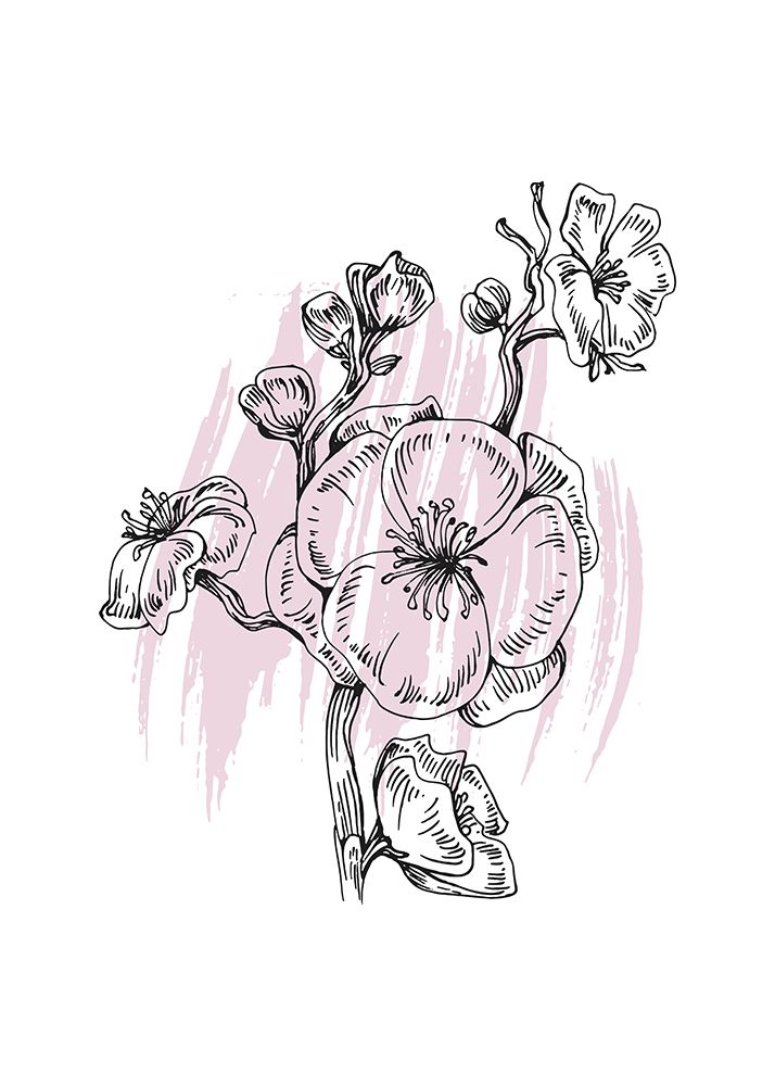 Sakura flowers minimal art art print by AcantStudio for $57.95 CAD