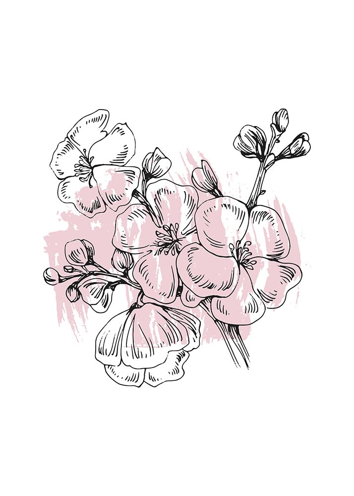 Sakura flowers minimal art art print by AcantStudio for $57.95 CAD