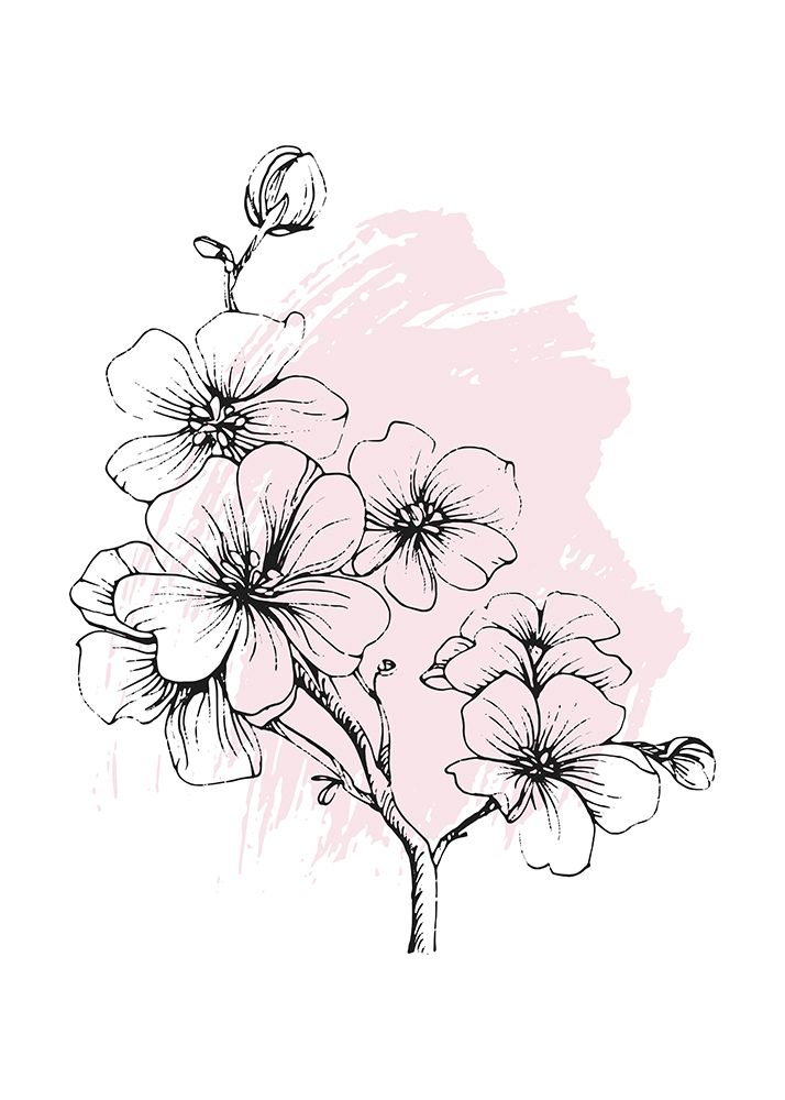 Sakura flowers minimal art art print by AcantStudio for $57.95 CAD