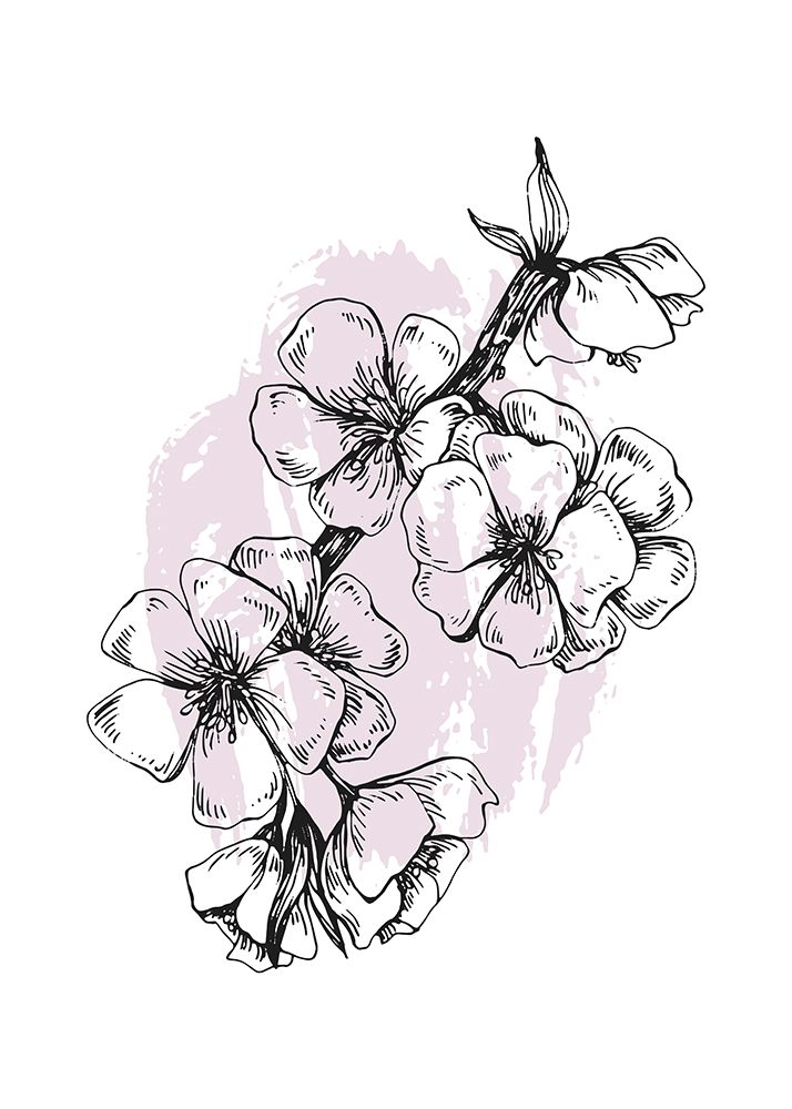 Sakura flowers minimal art art print by AcantStudio for $57.95 CAD
