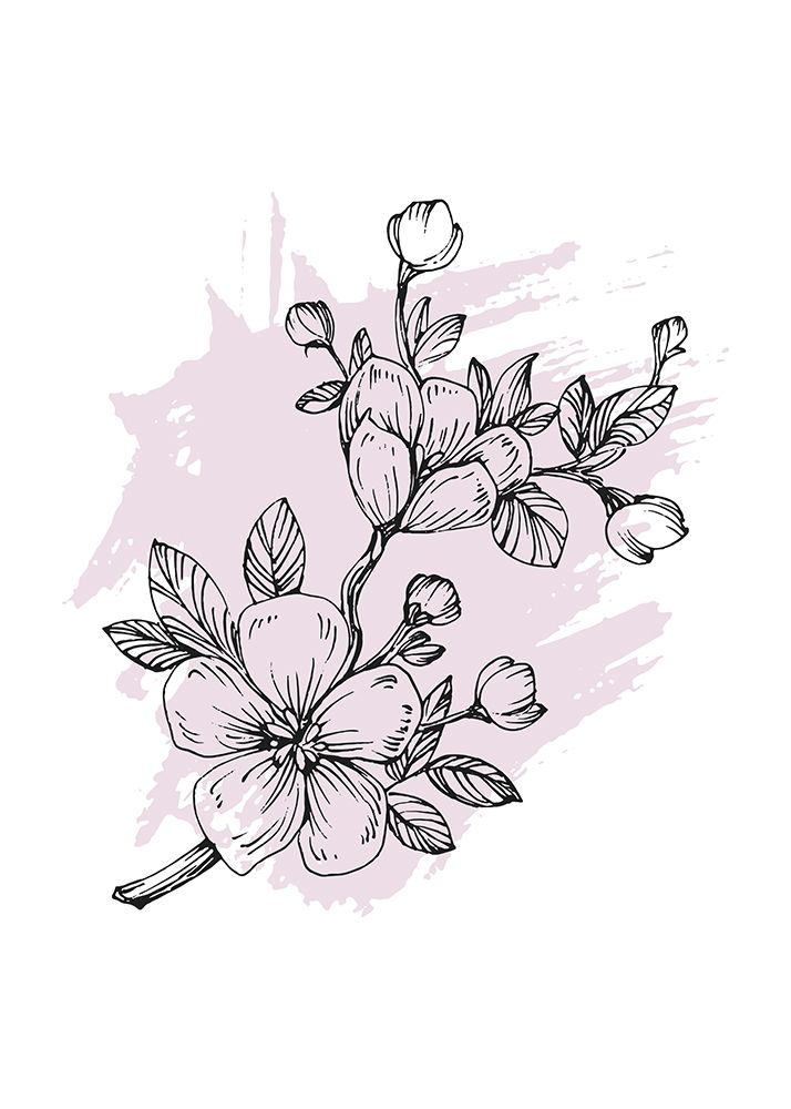 Sakura flowers minimal art art print by AcantStudio for $57.95 CAD