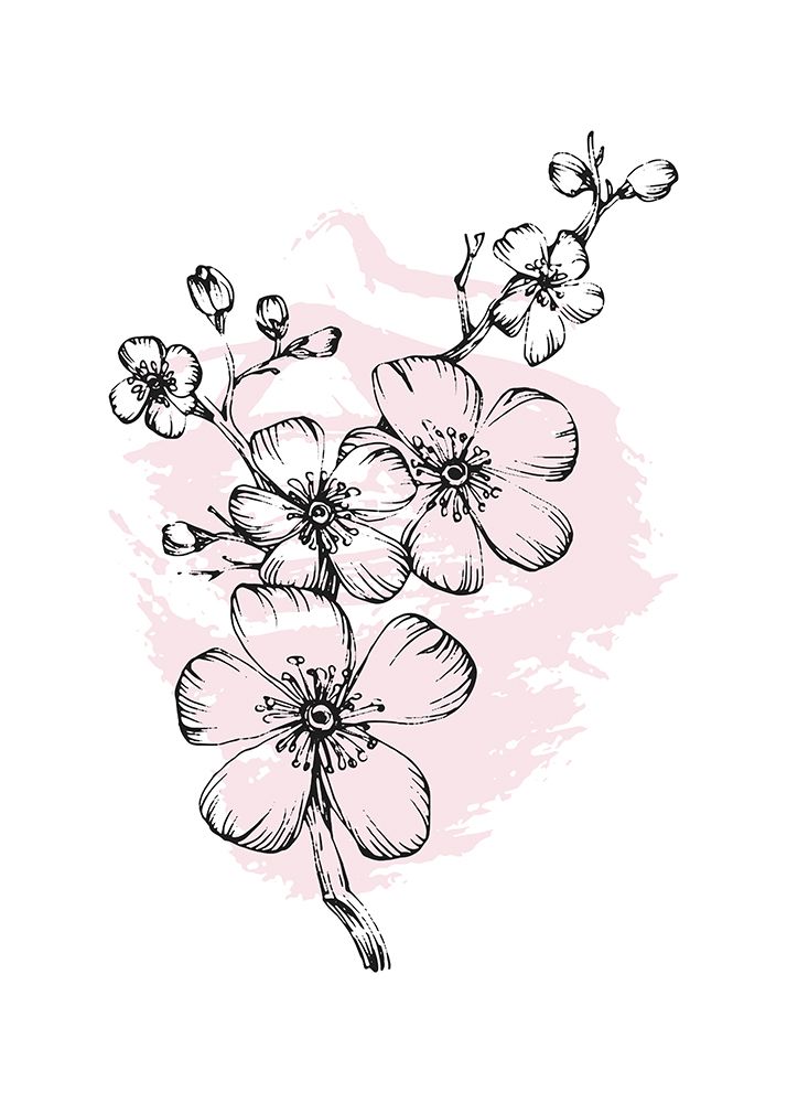 Sakura flowers minimal art art print by AcantStudio for $57.95 CAD