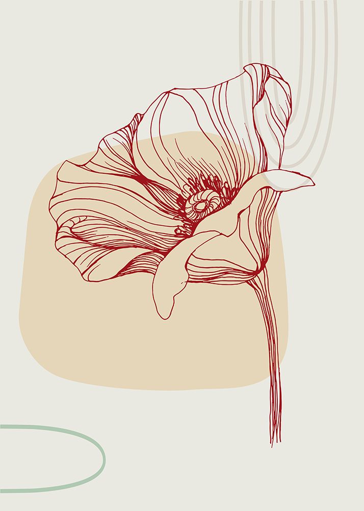 Poppies flowers minimal art art print by AcantStudio for $57.95 CAD