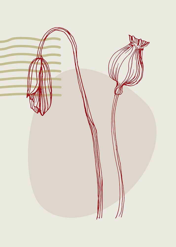 Poppies flowers minimal art art print by AcantStudio for $57.95 CAD