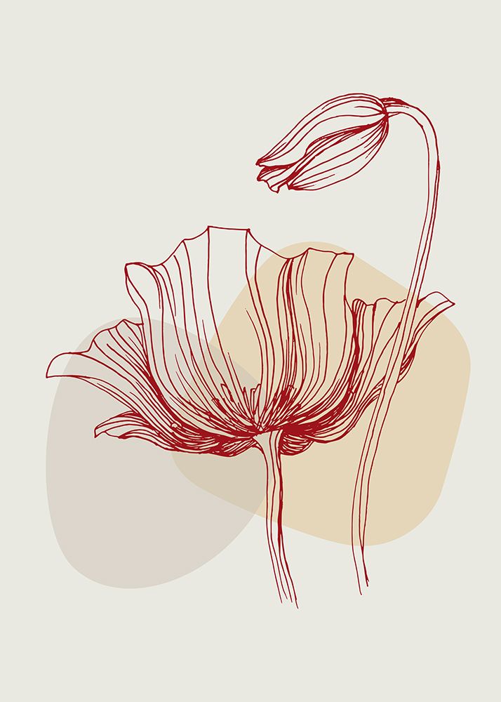 Poppies flowers minimal art art print by AcantStudio for $57.95 CAD