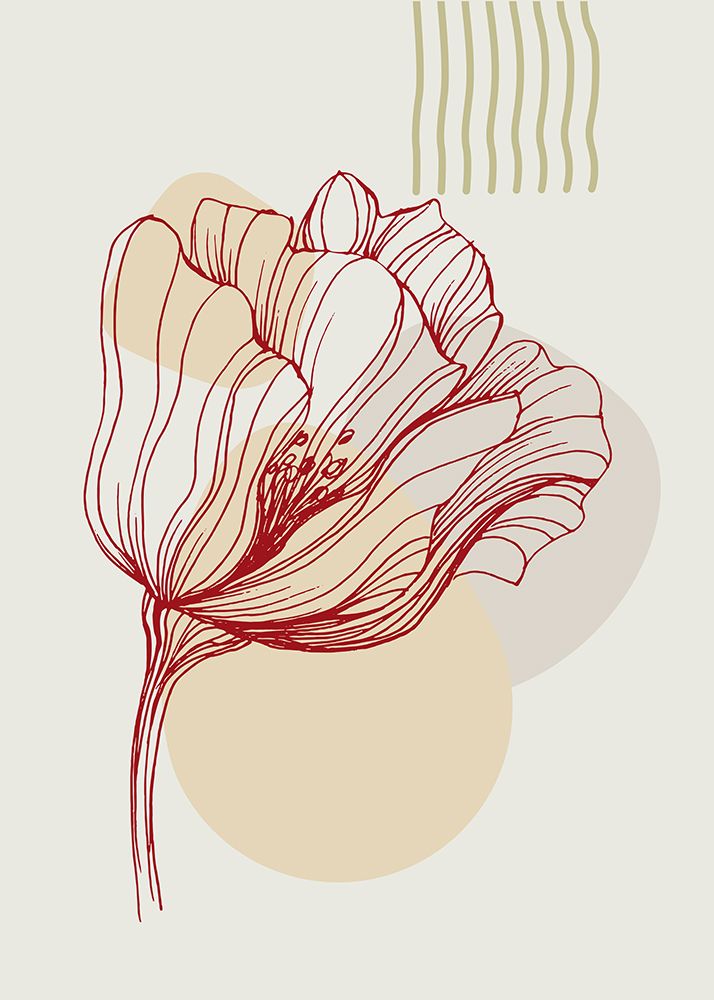 Poppies flowers minimal art art print by AcantStudio for $57.95 CAD