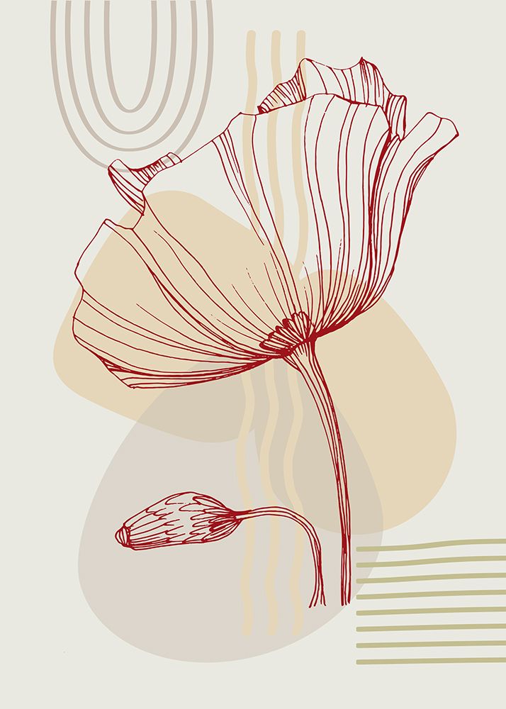 Poppies flowers minimal art art print by AcantStudio for $57.95 CAD