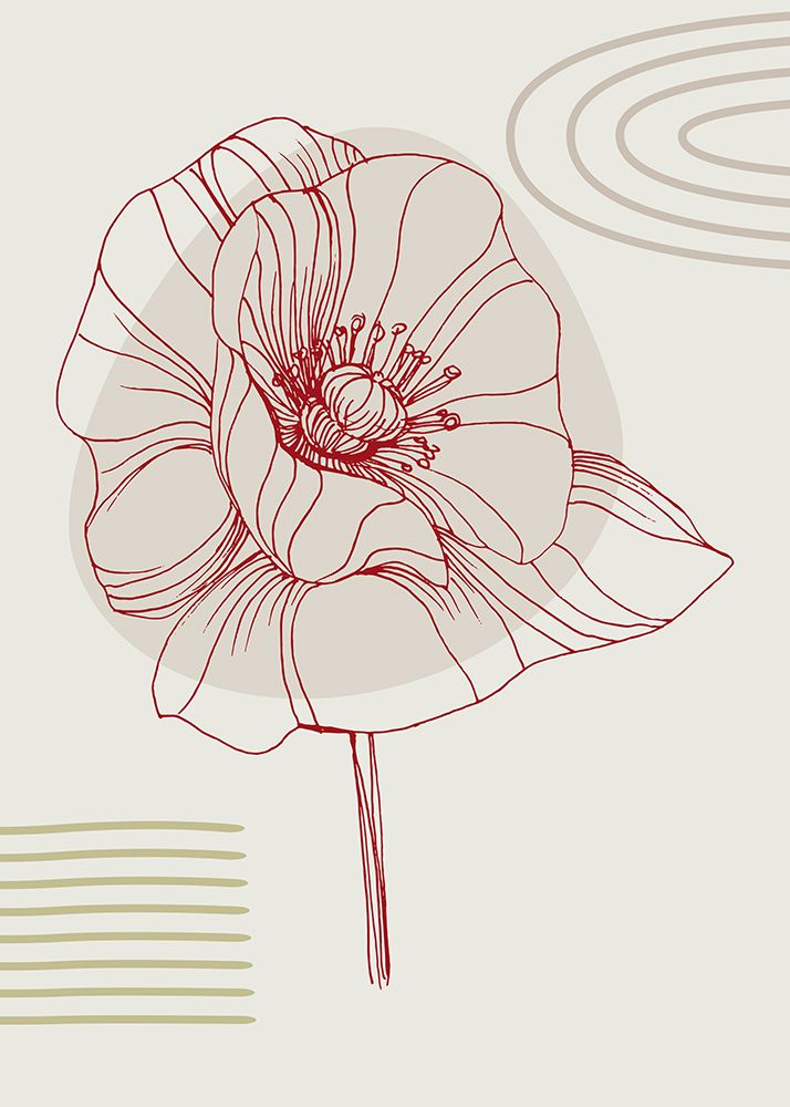 Poppies flowers minimal art art print by AcantStudio for $57.95 CAD