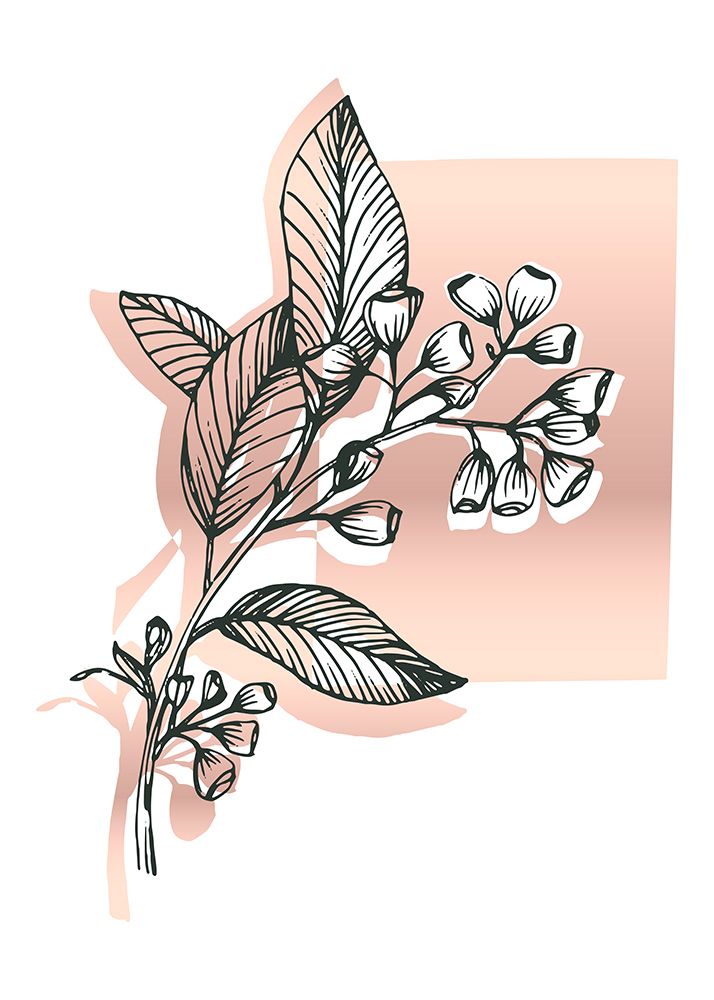 Eucalyptus flowers minimal art art print by AcantStudio for $57.95 CAD