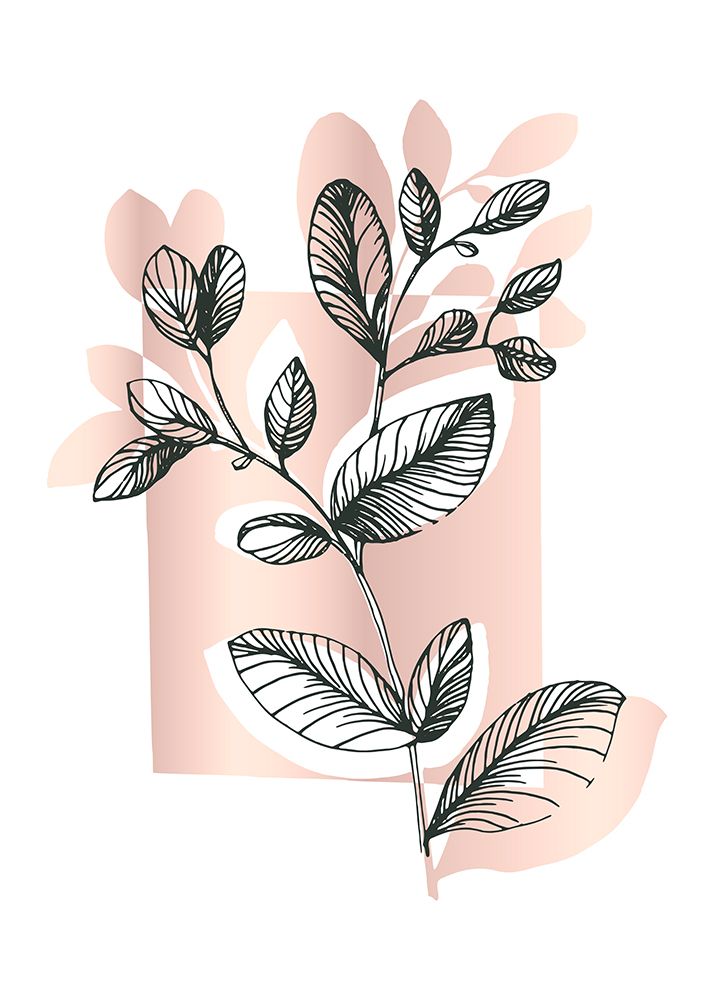 Eucalyptus flowers minimal art art print by AcantStudio for $57.95 CAD