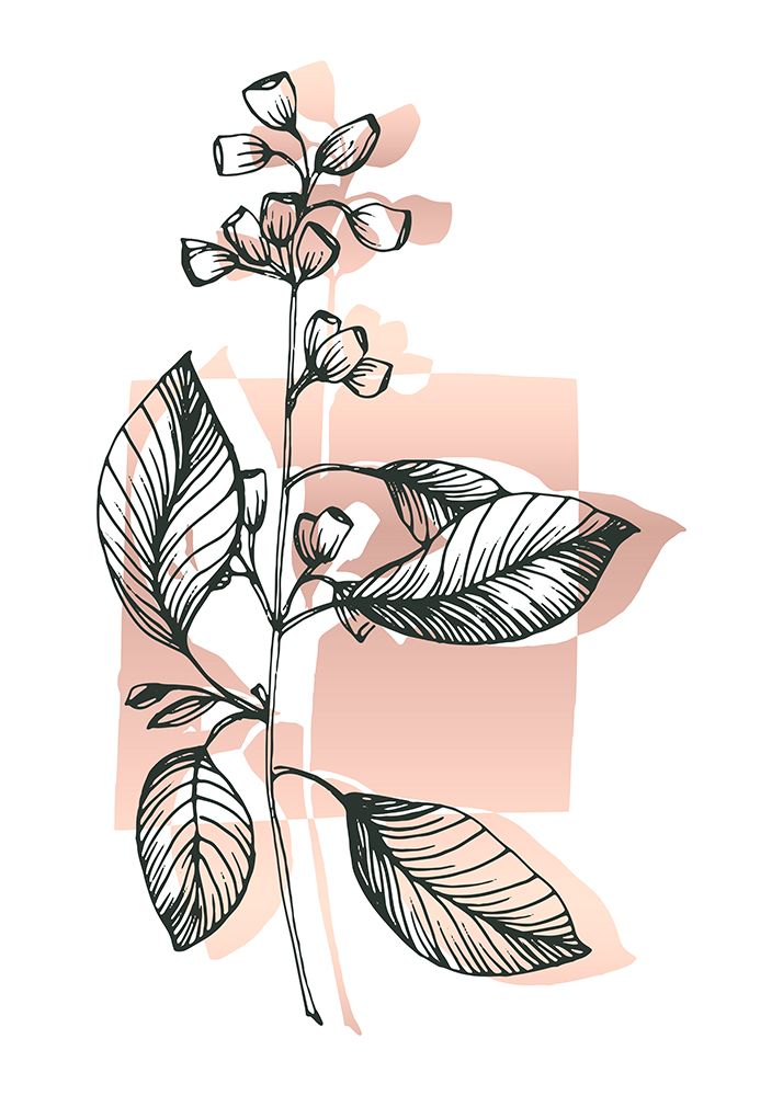 Eucalyptus flowers minimal art art print by AcantStudio for $57.95 CAD