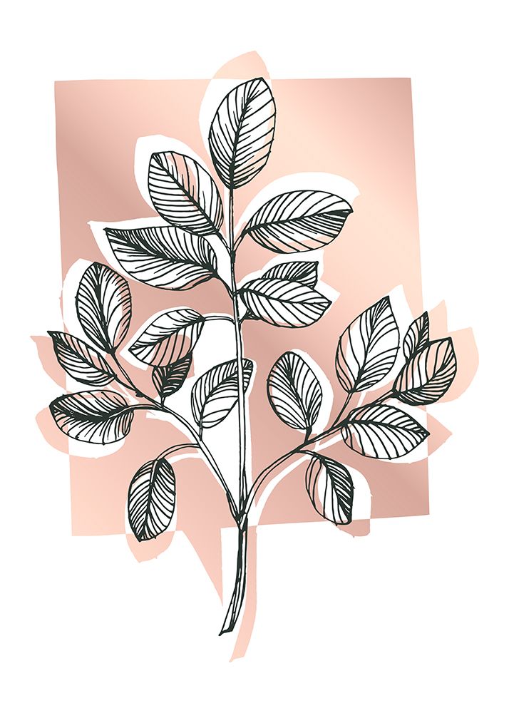 Eucalyptus flowers minimal art art print by AcantStudio for $57.95 CAD