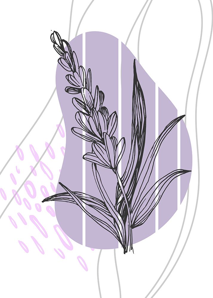 Lavender flowers art print by AcantStudio for $57.95 CAD