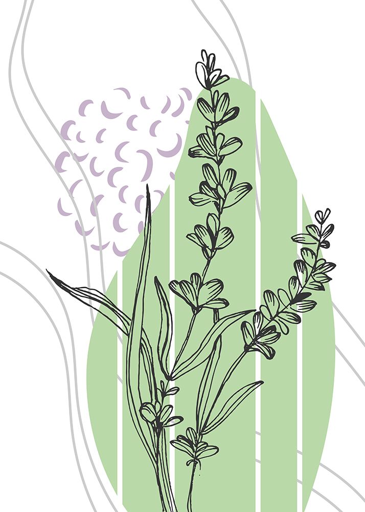 Lavender flowers art print by AcantStudio for $57.95 CAD
