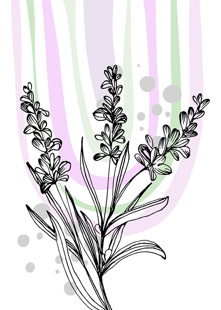 Lavender flowers art print by AcantStudio for $57.95 CAD