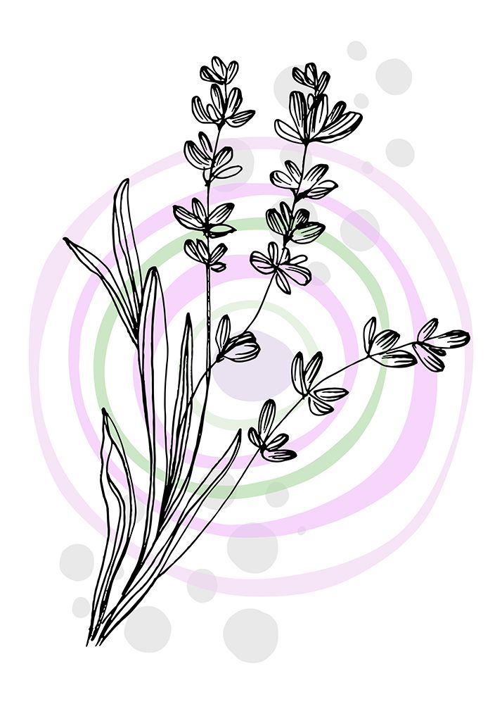 Lavender flowers art print by AcantStudio for $57.95 CAD