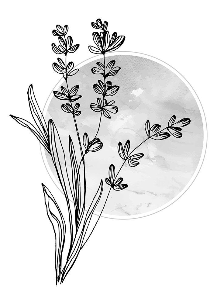 Lavender flowers art print by AcantStudio for $57.95 CAD