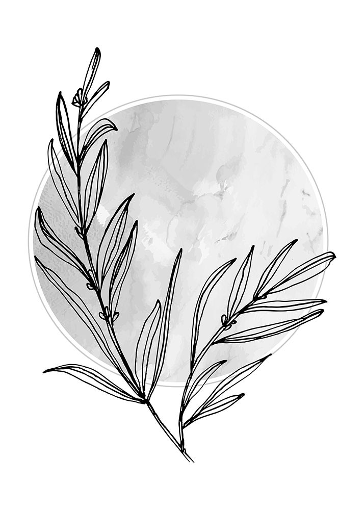 Lavender flowers art print by AcantStudio for $57.95 CAD