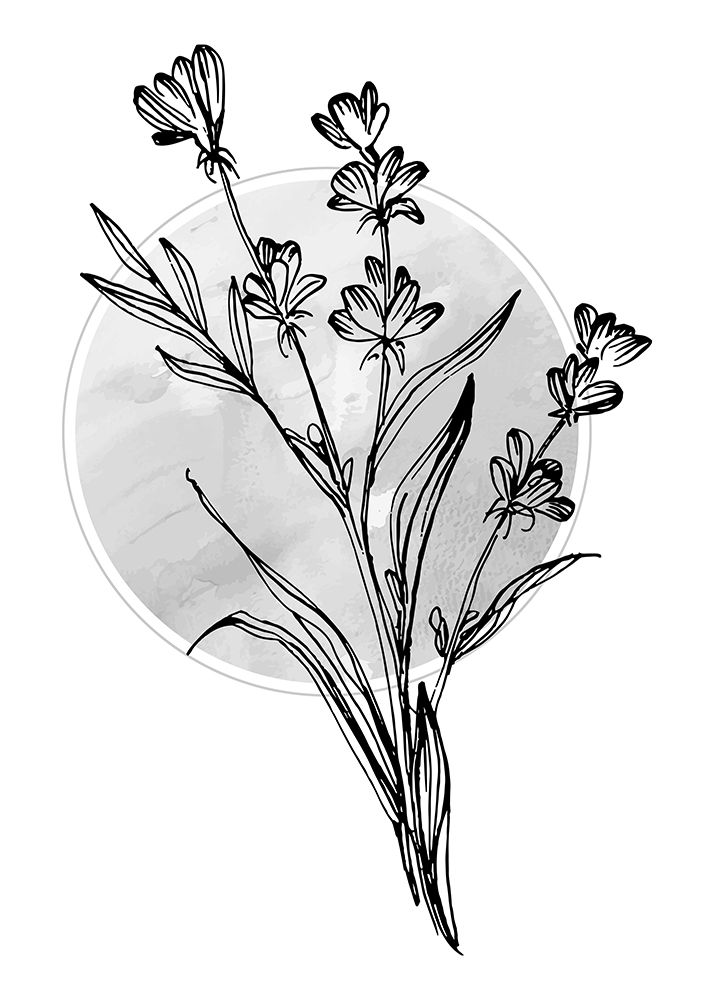 Lavender flowers art print by AcantStudio for $57.95 CAD