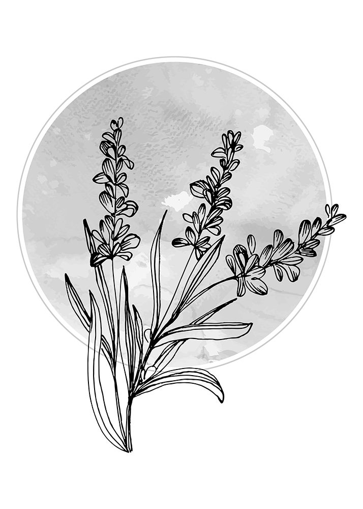 Lavender flowers art print by AcantStudio for $57.95 CAD