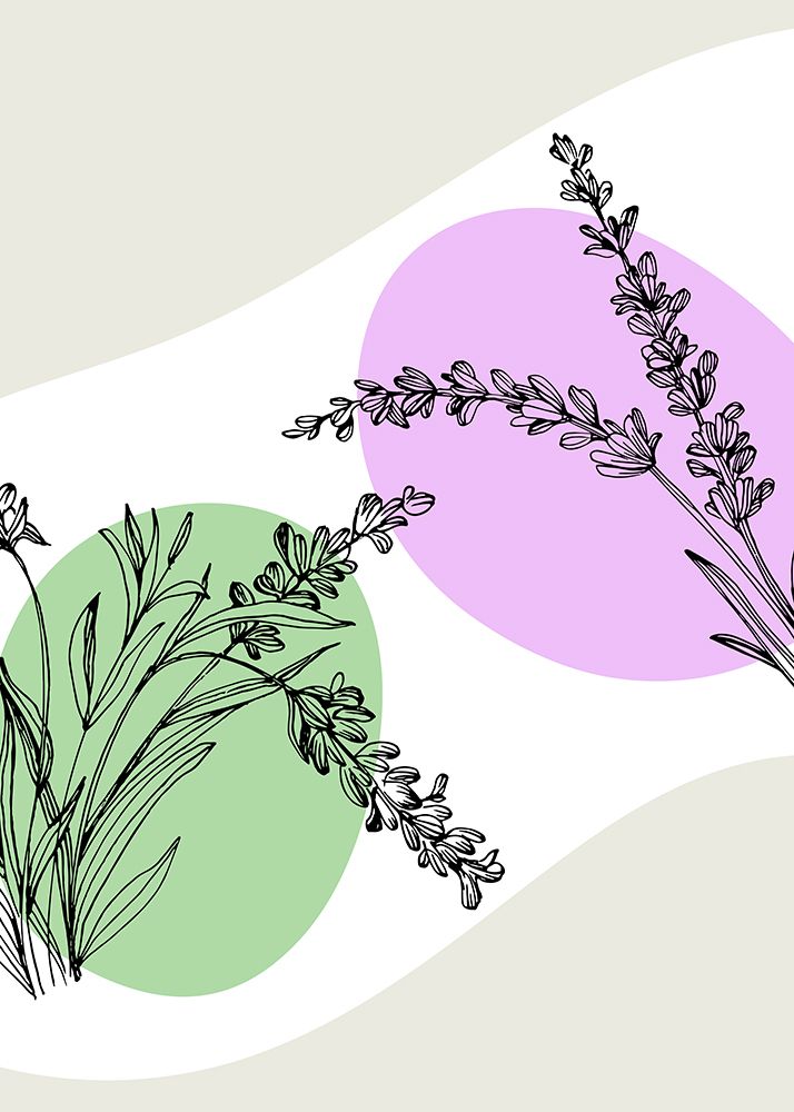 Lavender flowers art print by AcantStudio for $57.95 CAD