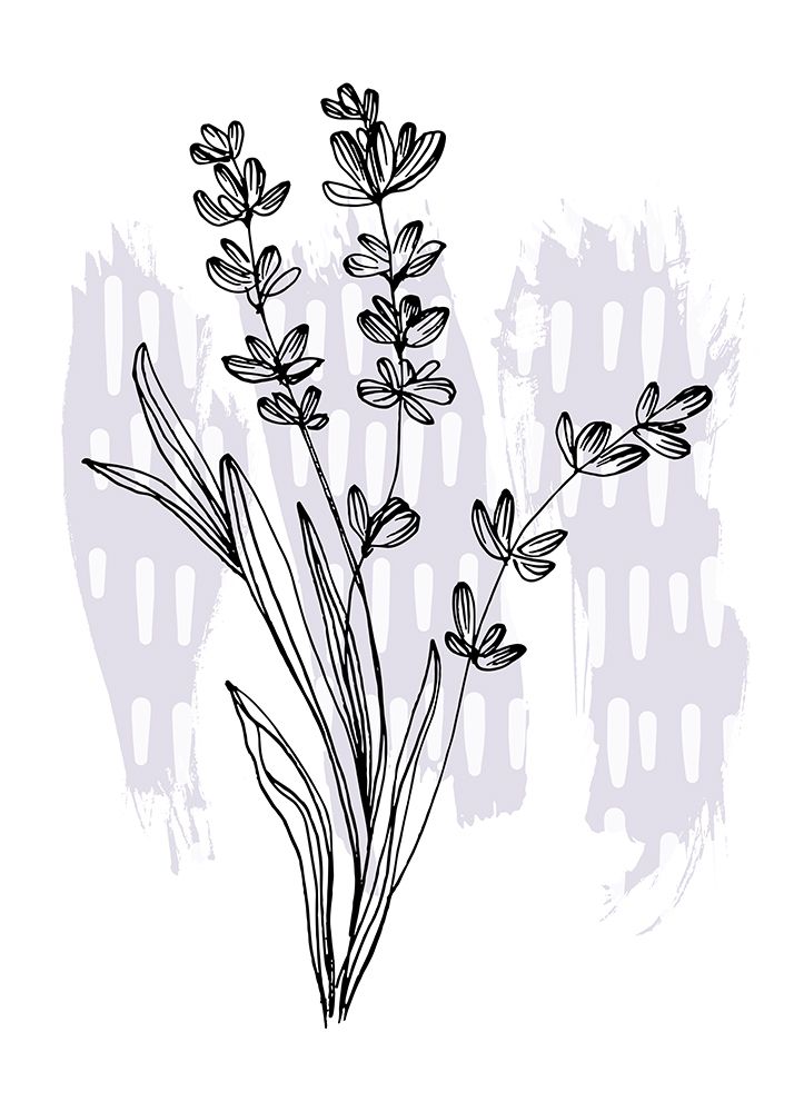 Lavender flowers art print by AcantStudio for $57.95 CAD