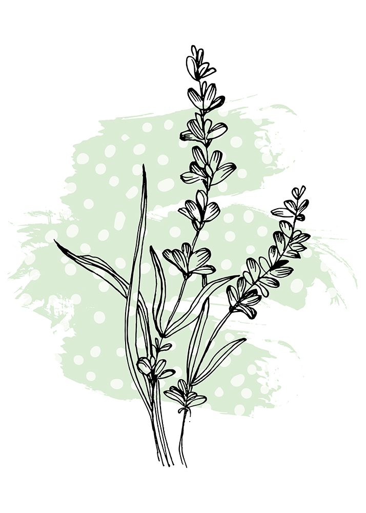 Lavender flowers art print by AcantStudio for $57.95 CAD