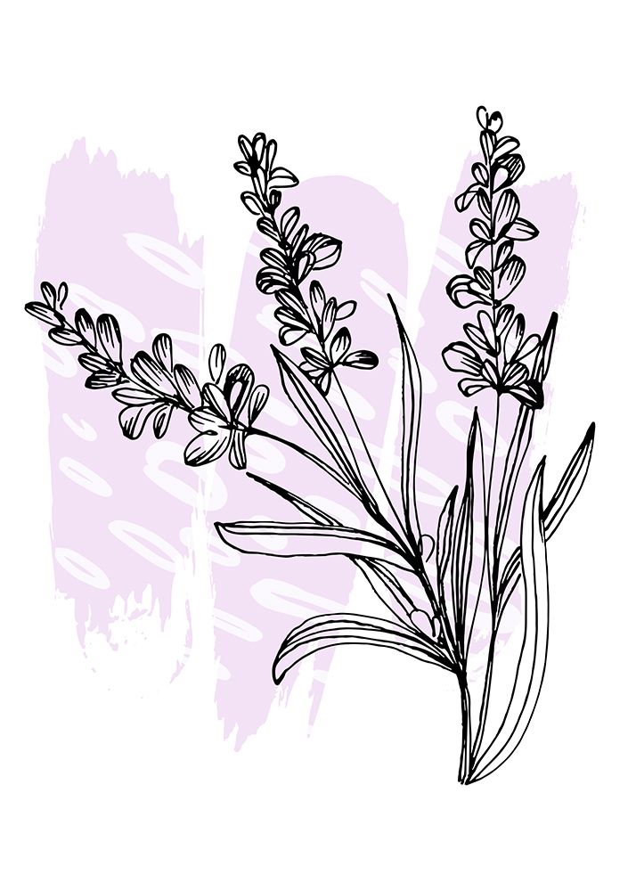 Lavender flowers art print by AcantStudio for $57.95 CAD
