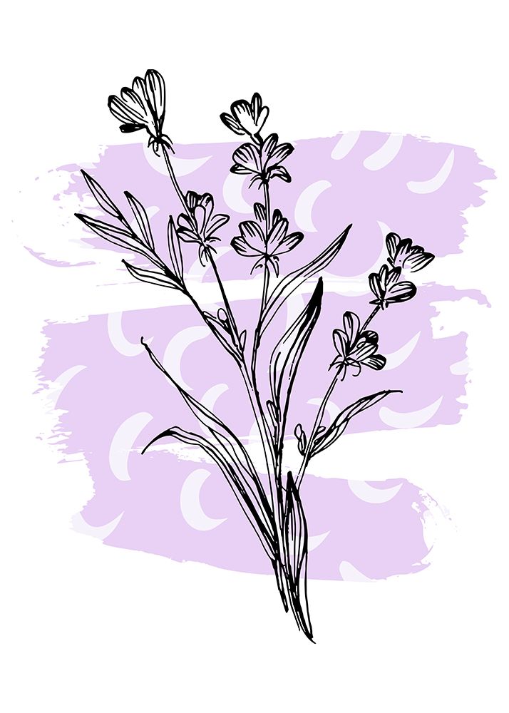 Lavender flowers art print by AcantStudio for $57.95 CAD