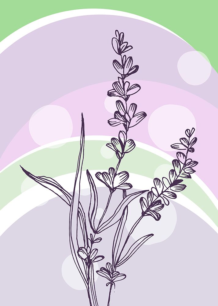 Lavender flowers art print by AcantStudio for $57.95 CAD