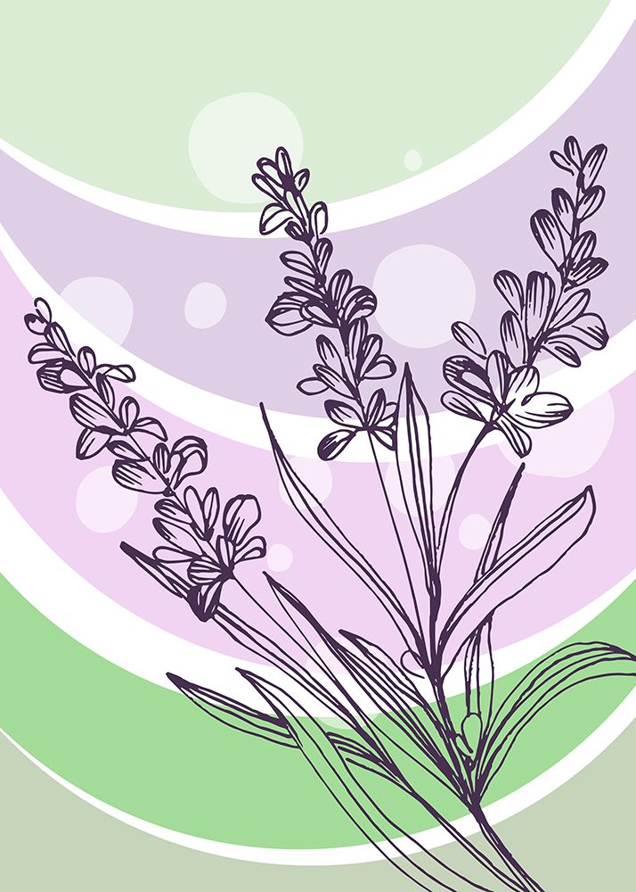 Lavender flowers art print by AcantStudio for $57.95 CAD