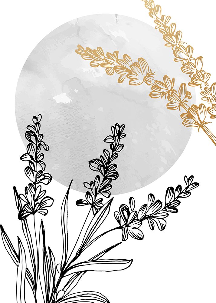 Lavender flowers art print by AcantStudio for $57.95 CAD