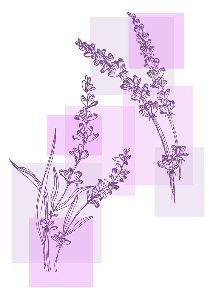 Lavender flowers art print by AcantStudio for $57.95 CAD
