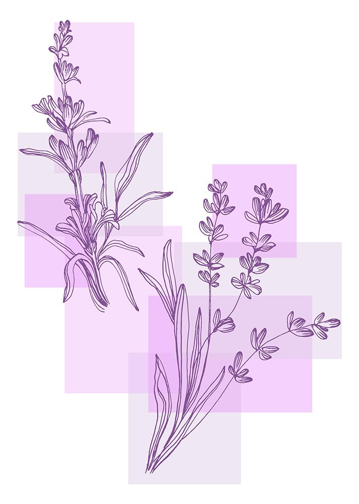 Lavender flowers art print by AcantStudio for $57.95 CAD