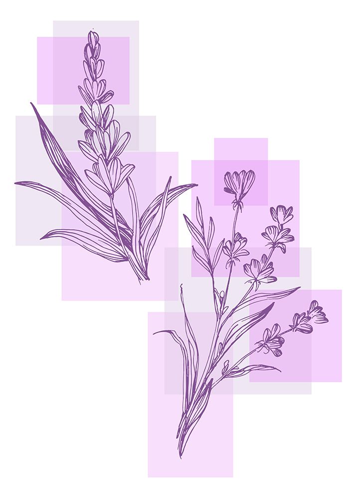 Lavender flowers art print by AcantStudio for $57.95 CAD