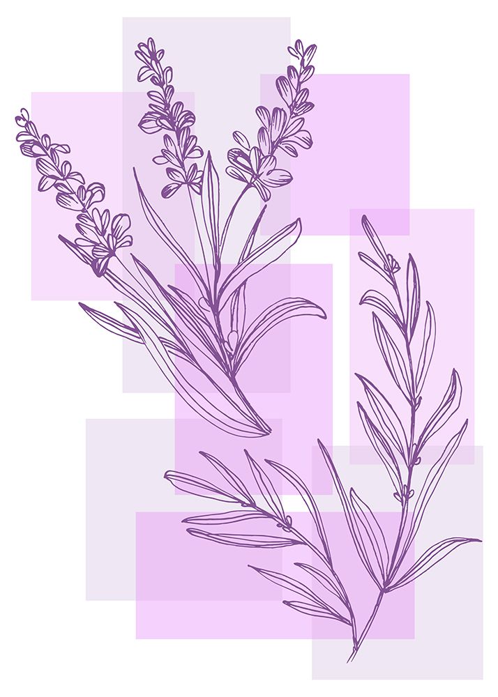 Lavender flowers art print by AcantStudio for $57.95 CAD