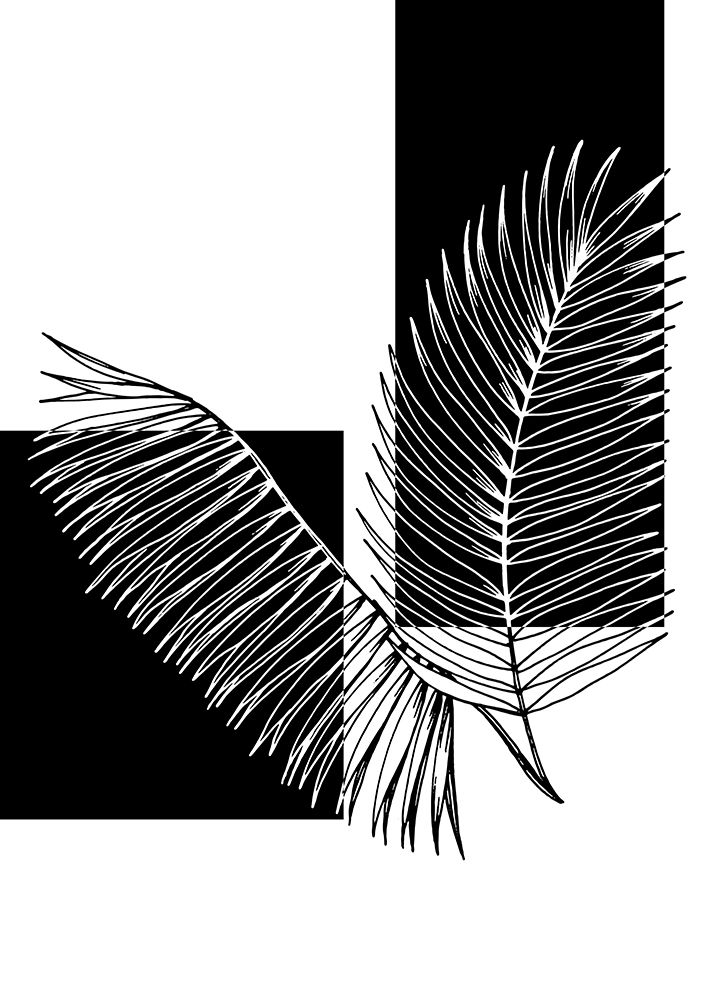 Palm leaves exotic plants art print by AcantStudio for $57.95 CAD