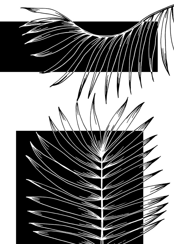 Palm leaves exotic plants art print by AcantStudio for $57.95 CAD