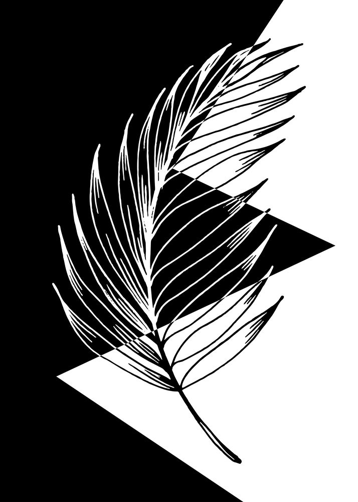 Palm leaves exotic plants art print by AcantStudio for $57.95 CAD