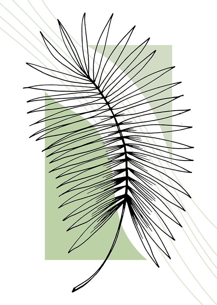 Palm leaves exotic plants art print by AcantStudio for $57.95 CAD