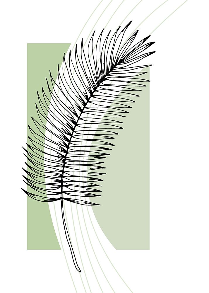 Palm leaves exotic plants art print by AcantStudio for $57.95 CAD