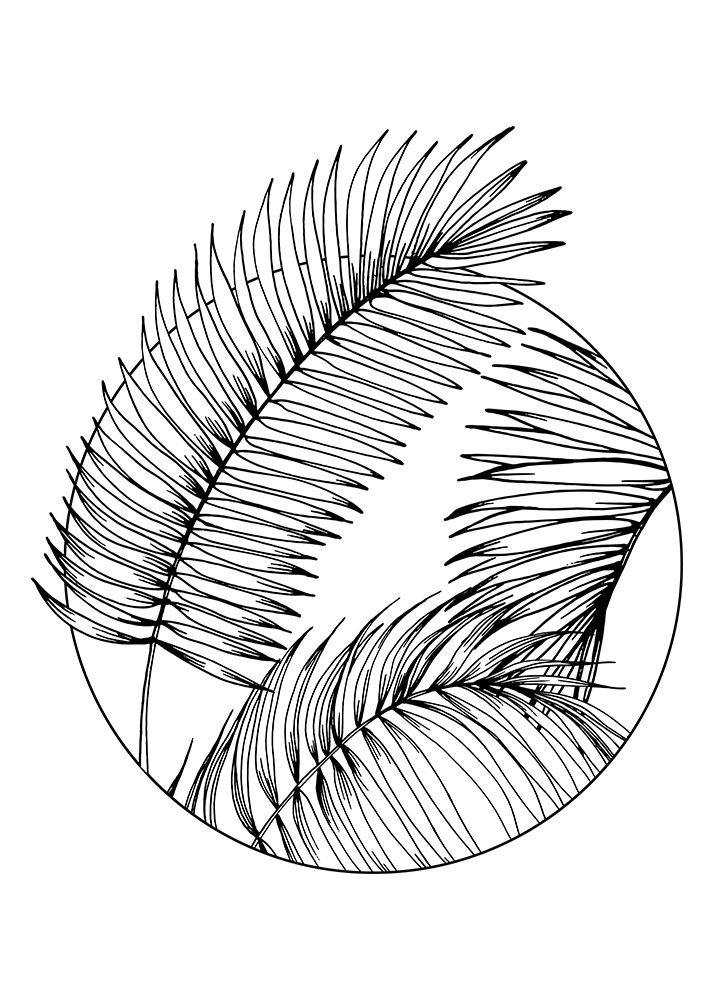 Palm leaves exotic plants art print by AcantStudio for $57.95 CAD