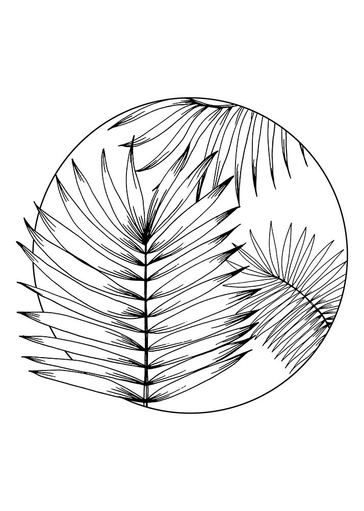 Palm leaves exotic plants art print by AcantStudio for $57.95 CAD