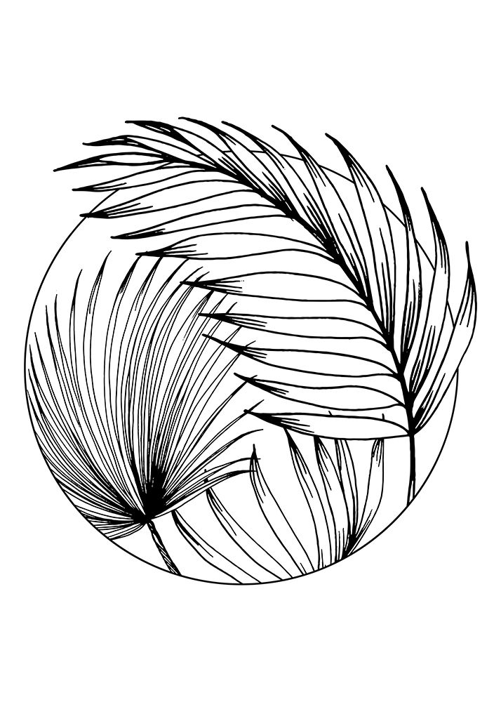 Palm leaves exotic plants art print by AcantStudio for $57.95 CAD