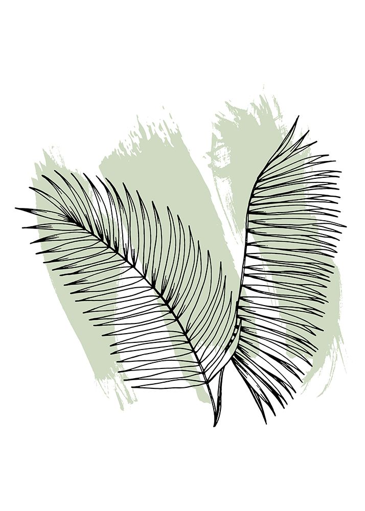 Palm leaves exotic plants art print by AcantStudio for $57.95 CAD