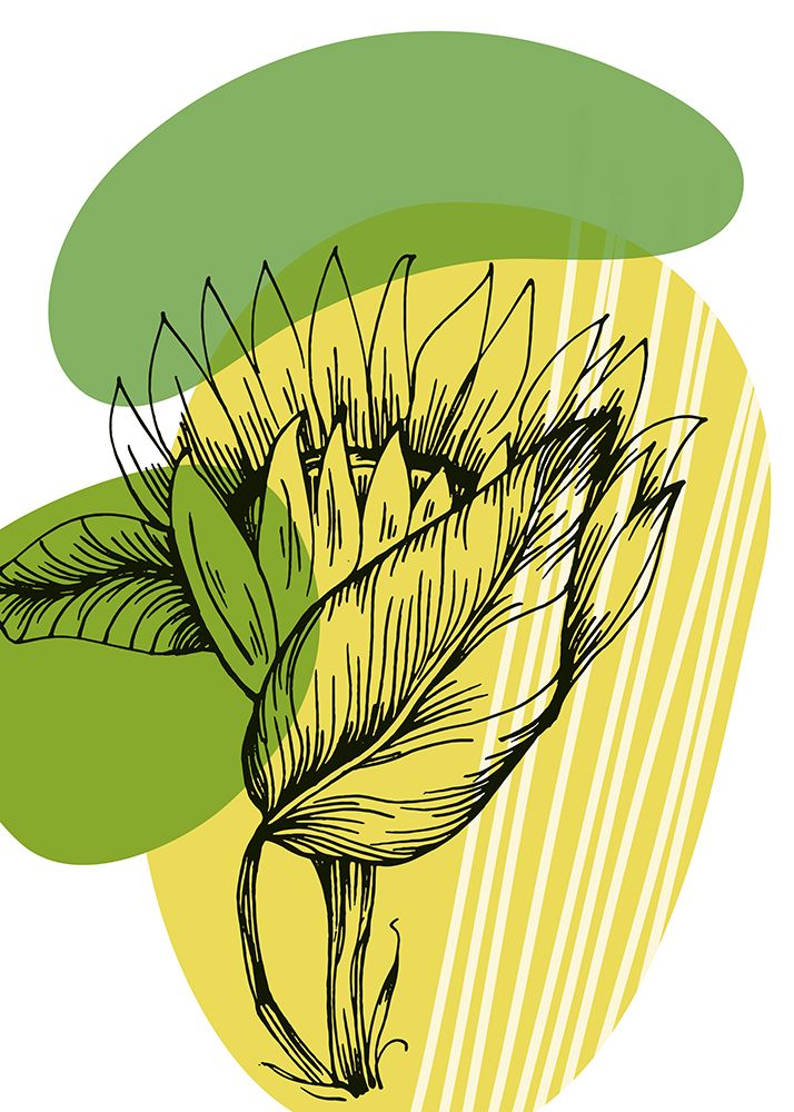 Sunflower minimal art art print by AcantStudio for $57.95 CAD