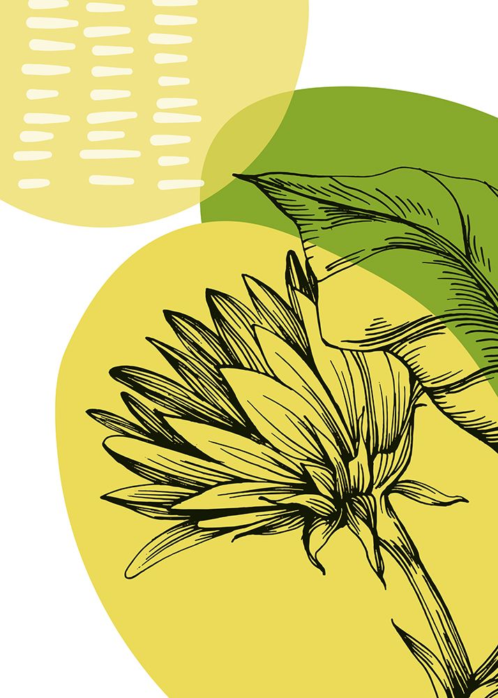 Sunflower minimal art art print by AcantStudio for $57.95 CAD