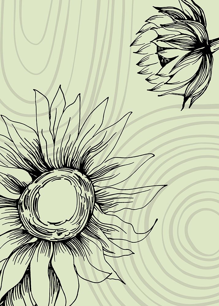 Sunflower minimal art art print by AcantStudio for $57.95 CAD