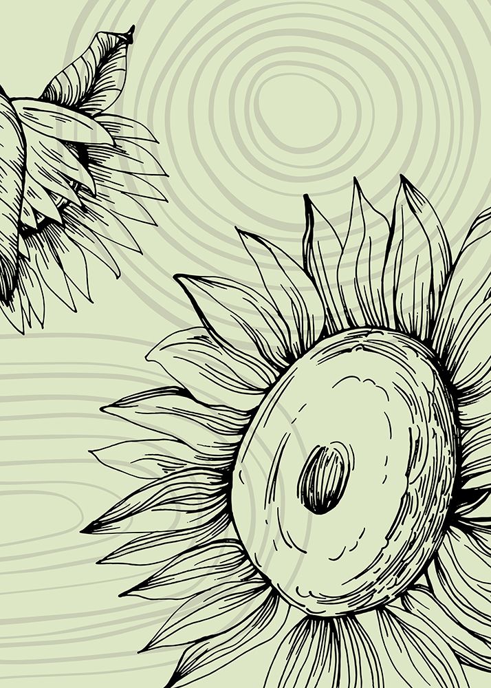 Sunflower minimal art art print by AcantStudio for $57.95 CAD